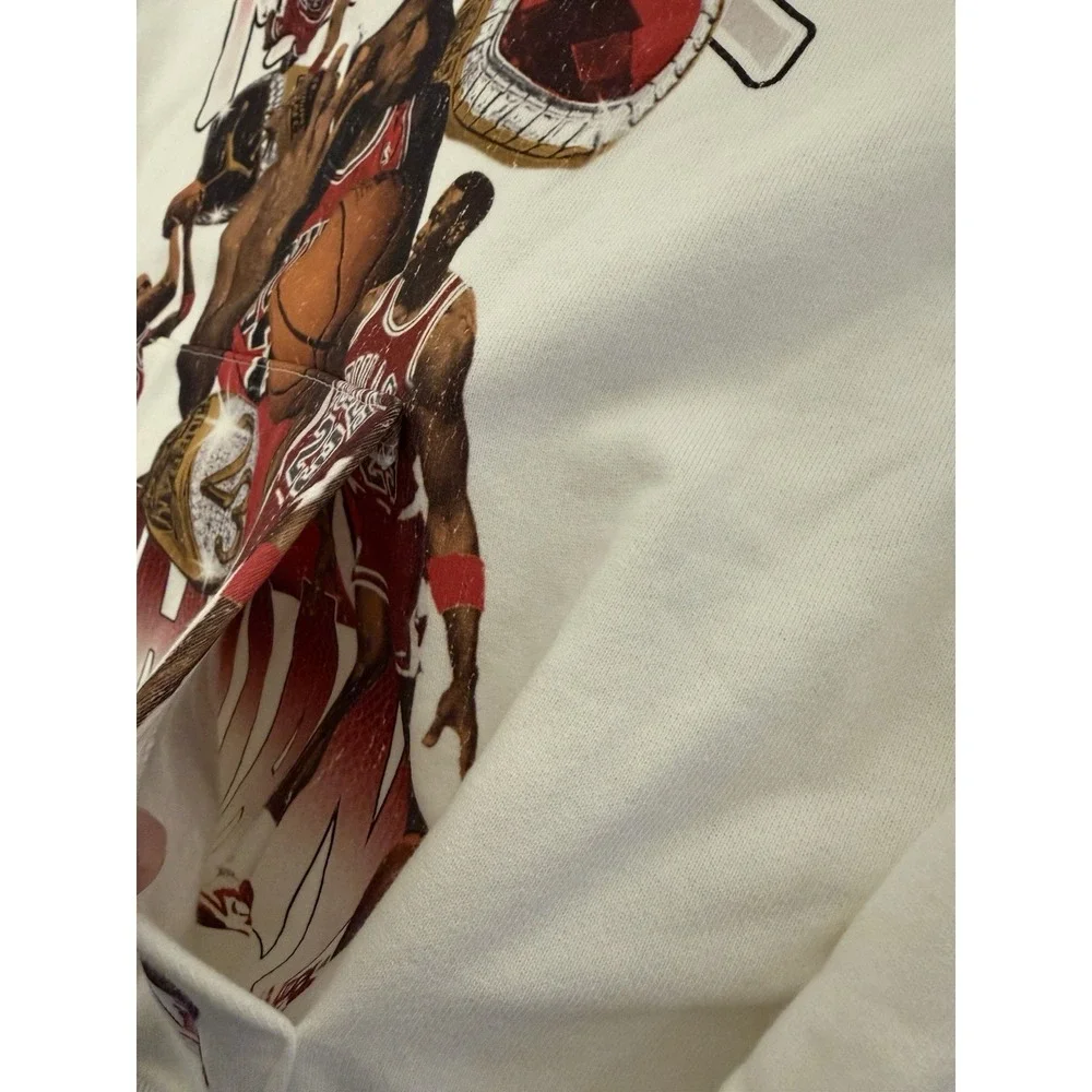 Jordan Flight Fleece Graphic Pullover Hoodie Sail HJ4396-133 Size Small $110 NWT